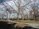 Central Park New York