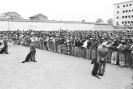 Circo Orlando Orfei