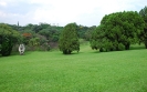 Jardim do Palácio dos Bandeirantes