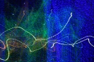 Luzes