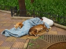 Morador de rua