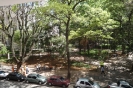 Praça Bráulio Gomes