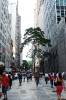 Rua XV de Novembro