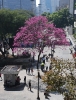 Vale do Anhangabaú
