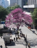 Vale do Anhangabaú