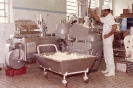 Alimentícia